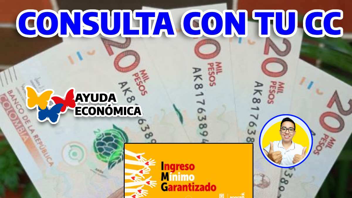 Imagen de WINTOR ABC, Logo de AYUDAS ECONÓMICAS, Imagen de dinero colombiano, título CONSULTA CON TU CC
