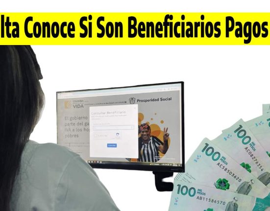 Consulta conocen si son beneficiarios pagos 2024, Jully torres de el equipo de Wintor ABC de espalda mostrando en pantalla de el pc como realizar la consulta con su cc y billetes de cien mil pesos colombianos.