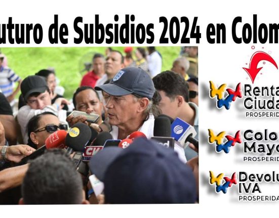 Subsidios 2024